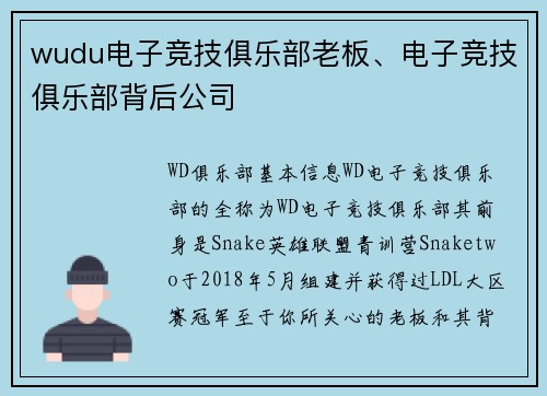 wudu电子竞技俱乐部老板、电子竞技俱乐部背后公司