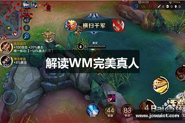解读WM完美真人